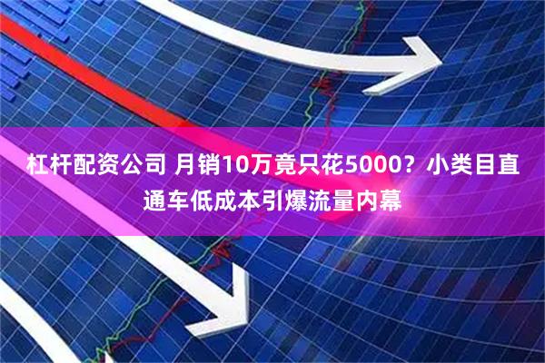 杠杆配资公司 月销10万竟只花5000？小类目直通车低成本引爆流量内幕